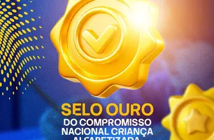 Demerval Lobão conquista Selo Ouro no Compromisso Nacional Criança Alfabetizada (Foto: Reprodução)