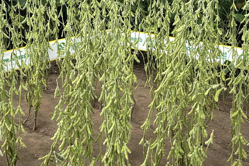 Dia de Campo marca 25 anos do Grupo Progresso em Sebastião Leal