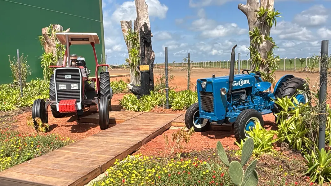Dia de Campo marca 25 anos do Grupo Progresso em Sebastião Leal