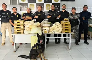 Draco realiza 77 operações e intensifica combate ao crime organizado no Piauí (Foto: Ascom SSP-PI)
