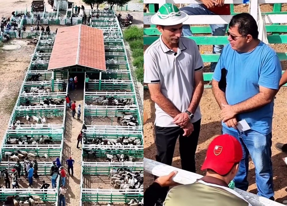 Feira de Animais de Paulistana une gestão, ensino e força da produção rural