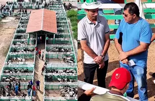 Feira de Animais de Paulistana une gestão, ensino e força da produção rural (Foto: Reprodução)