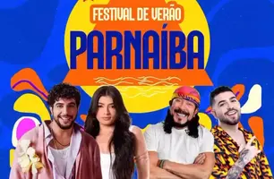 Festival de Verão (Foto: Reprodução)