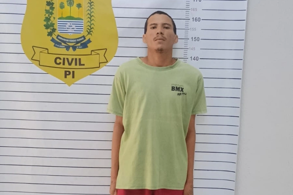 Filho de criação confessa assassinato de idosa de 67 anos em Parnaíba