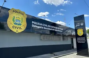 Homem é agredido pela companheira, levado à delegacia e acaba preso no Piauí (Foto: Reprodução)