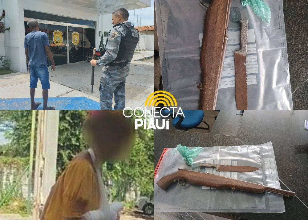 Homem é preso após ameaçar vizinha com arma artesanal em Campo Maior