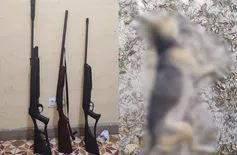 Homem é preso por porte ilegal e maus-tratos após matar cachorro em Cabeceiras