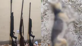 Homem é preso por porte ilegal e maus-tratos após matar cachorro em Cabeceiras (Foto: Divulgação/PMPI)