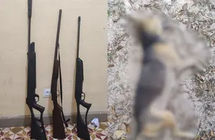 Homem é preso por porte ilegal e maus-tratos após matar cachorro em Cabeceiras (Foto: Divulgação/PMPI)