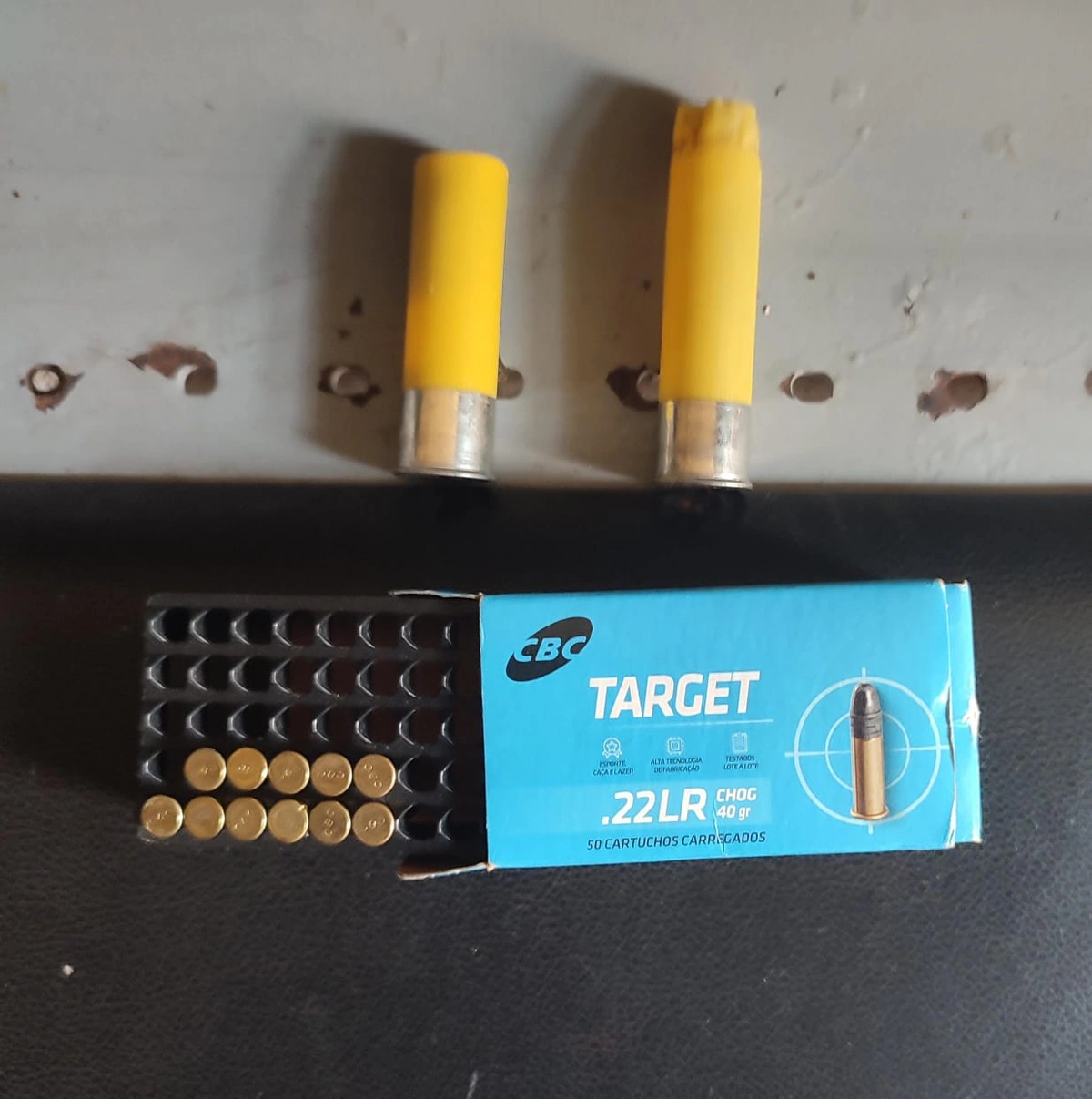 Homem é preso por porte ilegal e maus-tratos após matar cachorro em Cabeceiras