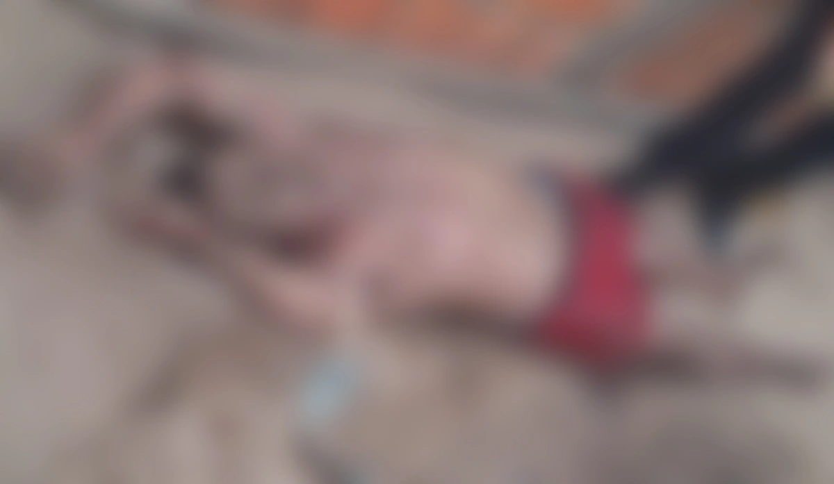 Homem morto a pauladas em Parnaíba