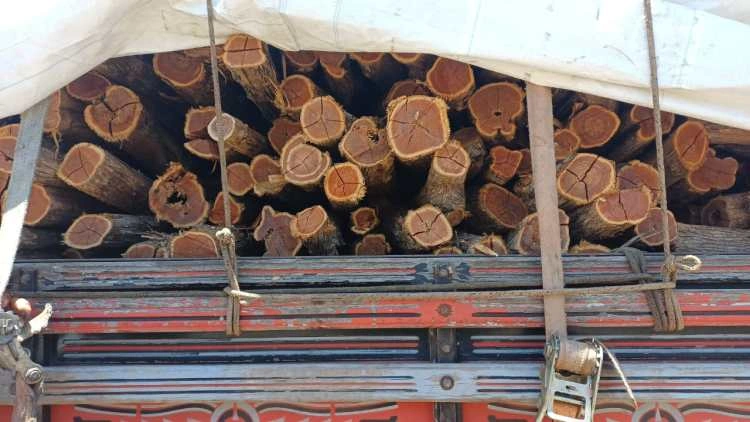 Ibama doa madeira apreendida ao Instituto Federal do Piauí de Oeiras