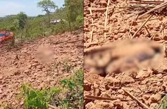 Idoso morre após casa de taipa desabar em ocupação na zona Leste de Teresina