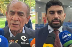 Senador Marcelo Castro volta a defender filiação de Draga Alana ao MDB