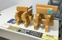 Adolescente de 17 anos é apreendido com 15 tabletes de maconha em Picos