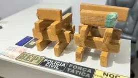 Material ilícito apreendido (Foto: Divulgação)