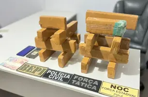 Material ilícito apreendido (Foto: Divulgação)