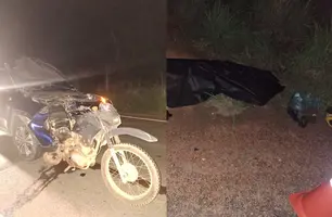 Mecânico morre em grave acidente na PI-113, em José de Freitas (Foto: Reprodução)