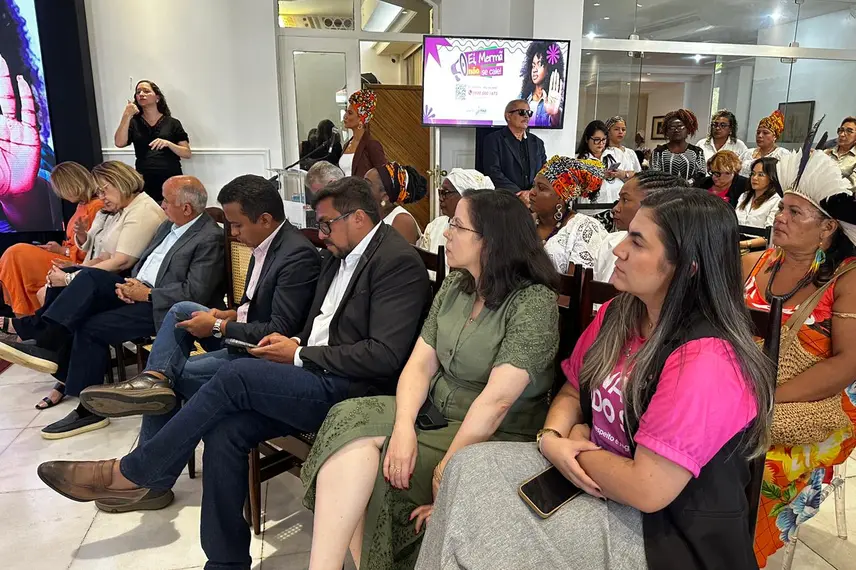 Ministra das Mulheres reforça combate à violência e anuncia investimentos no Piauí