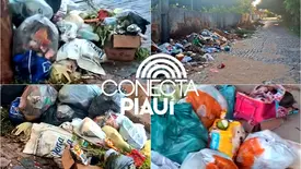 Moradores denunciam acúmulo de lixo e cobram urgência na zona Sudeste de Teresina (Foto: Reprodução)