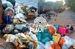 Moradores denunciam acúmulo de lixo e cobram urgência na zona Sudeste de Teresina (Foto: Reprodução)