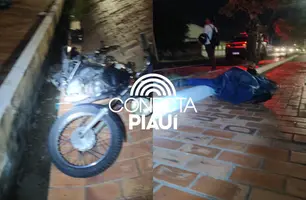Motociclista morre em acidente na BR-316 em Teresina (Foto: Reprodução)