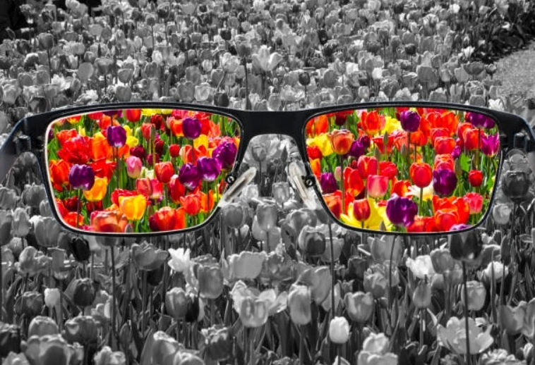 Nova lei cria semana de testes e conscientização sobre daltonismo no Piauí