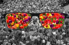 Nova lei cria semana de testes e conscientização sobre daltonismo no Piauí