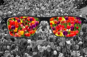 Nova lei cria semana de testes e conscientização sobre daltonismo no Piauí (Foto: Reprodução)