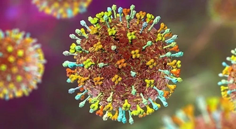 OMS afirma que risco do vírus Nipah é baixo na Índia, sem propagação