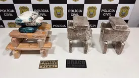 Operação integrada apreende 25 kg de drogas em Teresina (Foto: Reprodução)