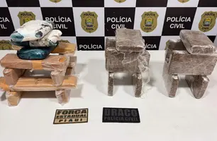 Operação integrada apreende 25 kg de drogas em Teresina (Foto: Reprodução)