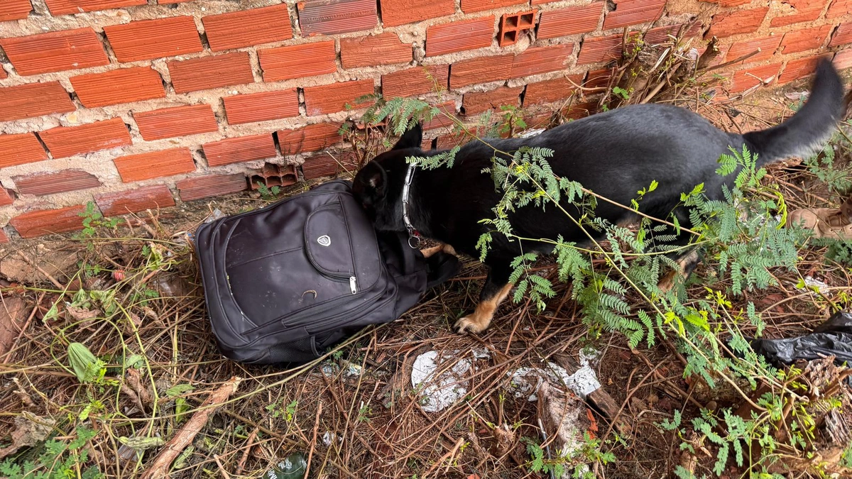 Operação integrada apreende 25 kg de drogas em Teresina