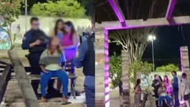 Peça de madeira cai no Parque da Cidadania e deixa mãe e filho feridos (Foto: Reprodução)