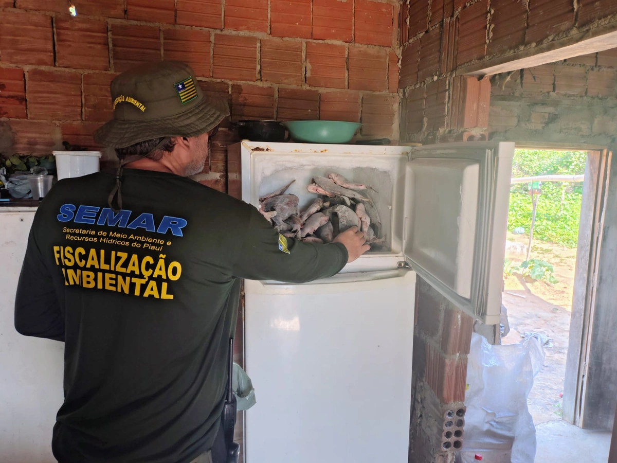 Pesca ilegal é flagrada no Piauí; suspeito é preso e 66kg de peixe são apreendidos