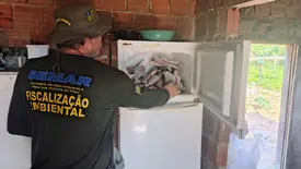 Pesca ilegal é flagrada no Piauí; suspeito é preso e 66kg de peixe são apreendidos (Foto: Reprodução)