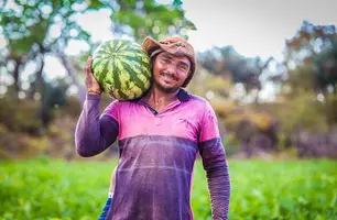 Piauí realiza Conferência Estadual de Desenvolvimento Rural nos dias 19 e 20 de janeiro (Foto: Tavynho Neto)