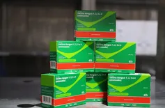 Piauí recebe 50 mil novas doses da vacina contra a dengue