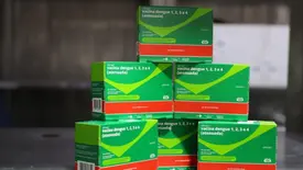 Piauí recebe 50 mil novas doses da vacina contra a dengue (Foto: Reprodução)