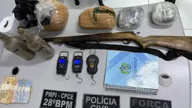 Polícia apreende roça de maconha com sistema de irrigação sofisticado no Piauí (Foto: Reprodução)