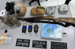 Polícia apreende roça de maconha com sistema de irrigação sofisticado no Piauí (Foto: Reprodução)