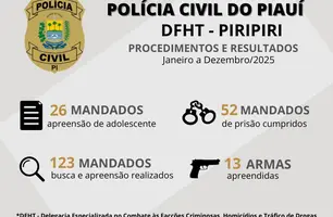 Polícia Civil publica números da DFHT de Piripiri contabilizados em 2025 (Foto: Reprodução)