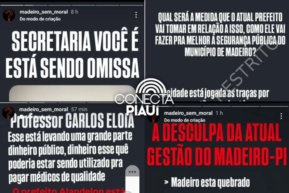 Polícia descobre perfil falso que atacava gestão do município de Madeiro