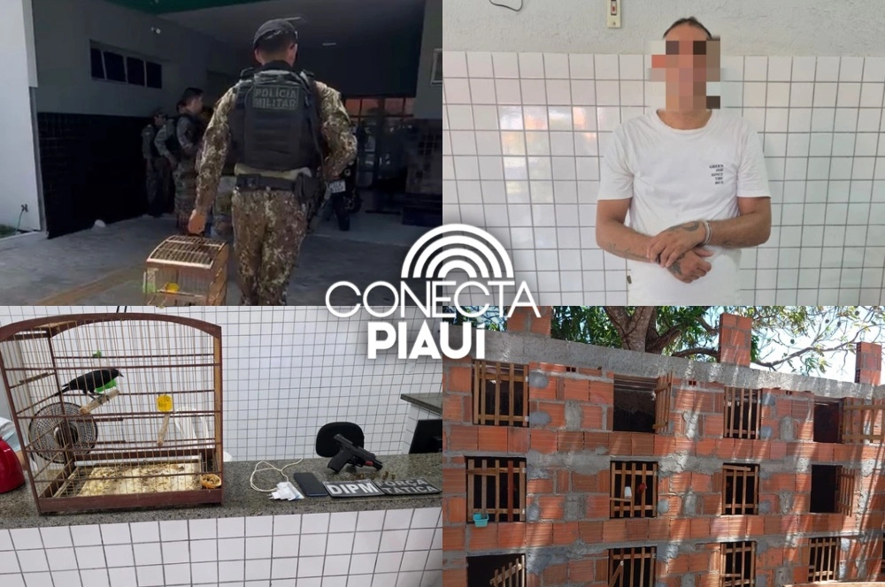Polícia prende suspeito por porte ilegal de arma e crime ambiental em Parnaíba