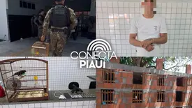 Polícia prende suspeito por porte ilegal de arma e crime ambiental em Parnaíba (Foto: Reprodução)