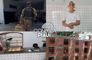 Polícia prende suspeito por porte ilegal de arma e crime ambiental em Parnaíba (Foto: Reprodução)