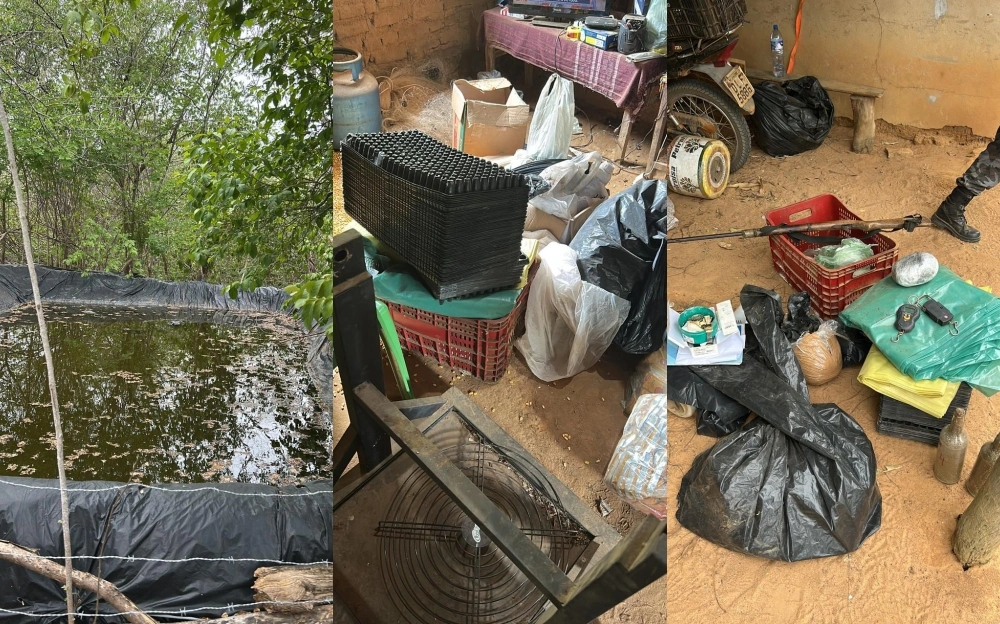 Polícias Civil e Militar realizam ação com apreensões e prisão em Pajeú do Piauí