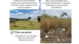 Prefeitura de Bom Jesus intensifica campanha de limpeza de terrenos contra dengue (Foto: Reprodução)