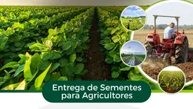 Prefeitura de Esperantina realiza entrega de sementes a agricultores (Foto: Reprodução)