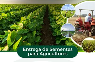 Prefeitura de Esperantina realiza entrega de sementes a agricultores (Foto: Reprodução)